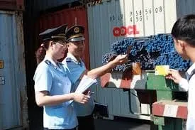 KIỂM HÓA LÀ GÌ? QUY TRÌNH KIỂM HÓA HÀNG HÓA VÀ LƯU Ý CẦN BIẾT?